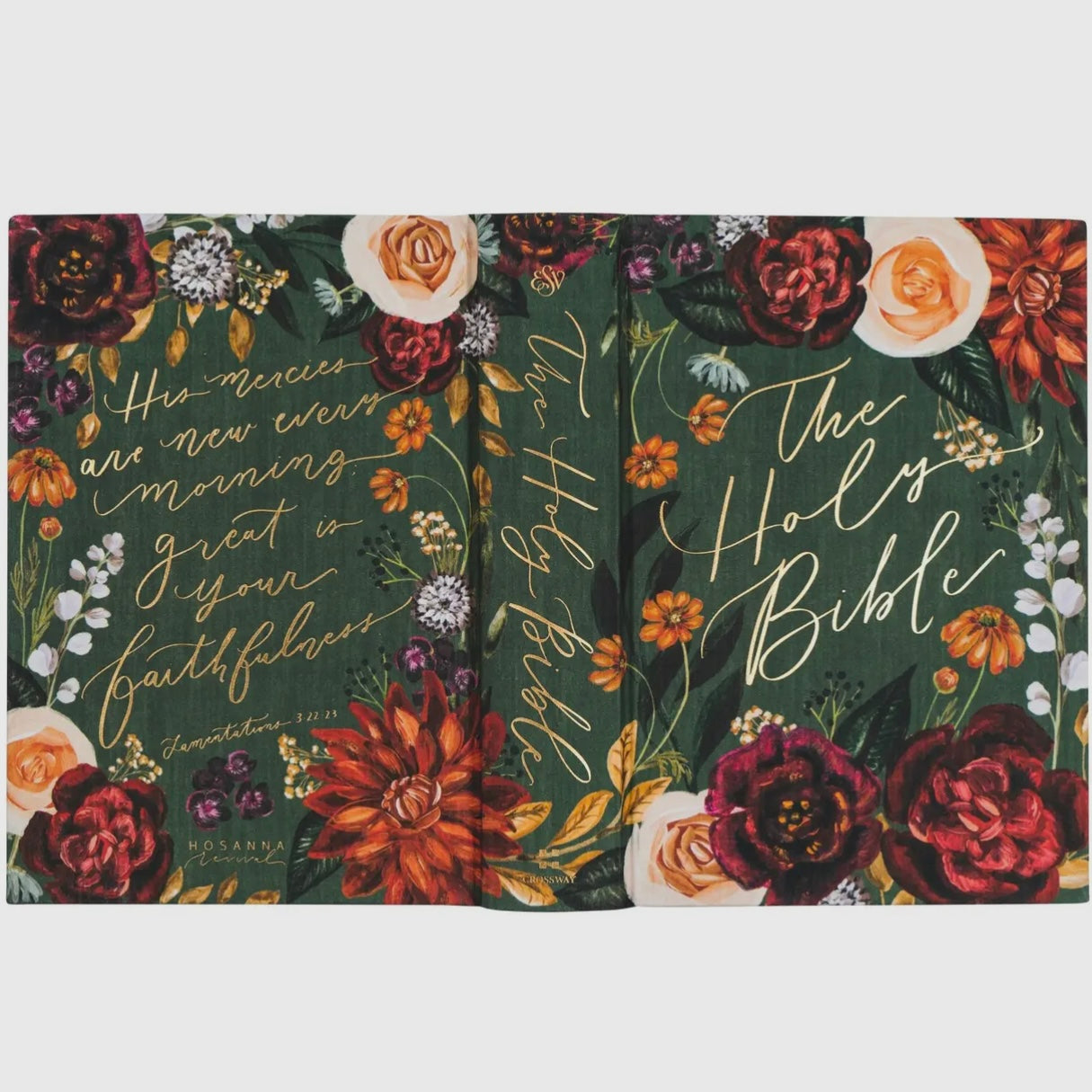 ESV Large Print Journaling Bible | Hollis