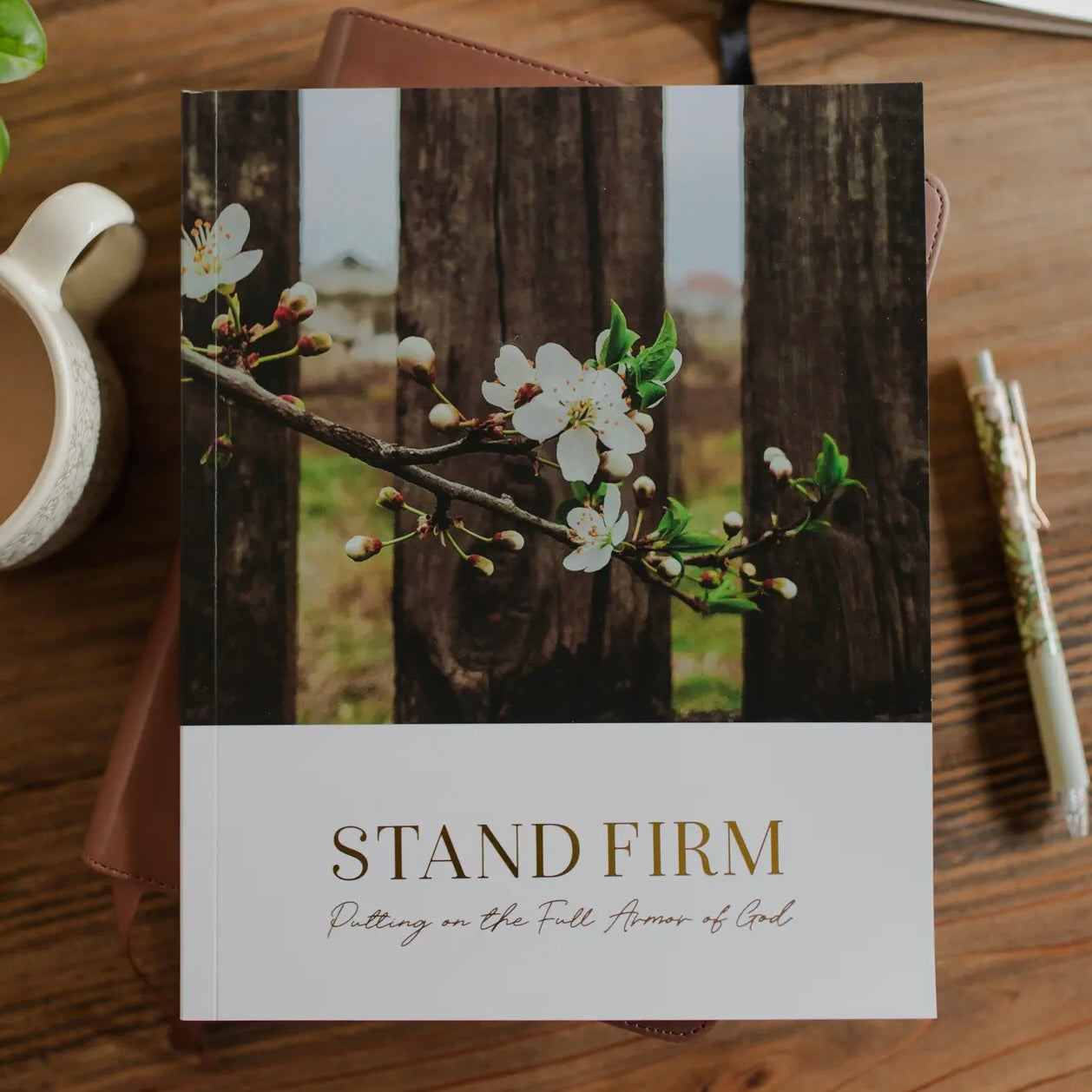 Bible Study | Stand Firm: Armor of God