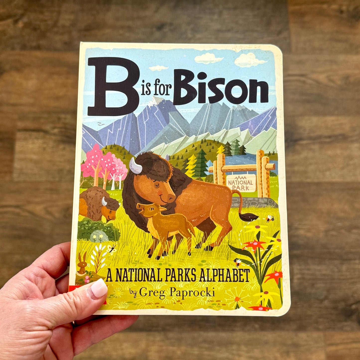 BabyLit - B Is For Bison