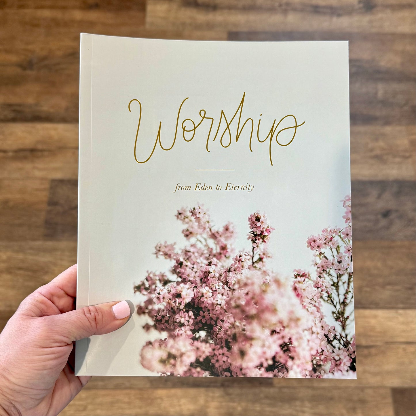 Bible Study - Worship