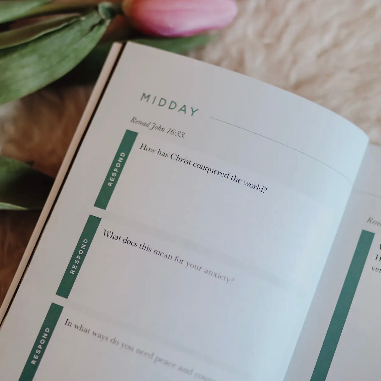 Bible Study | Meditations For Anxiety Booklet