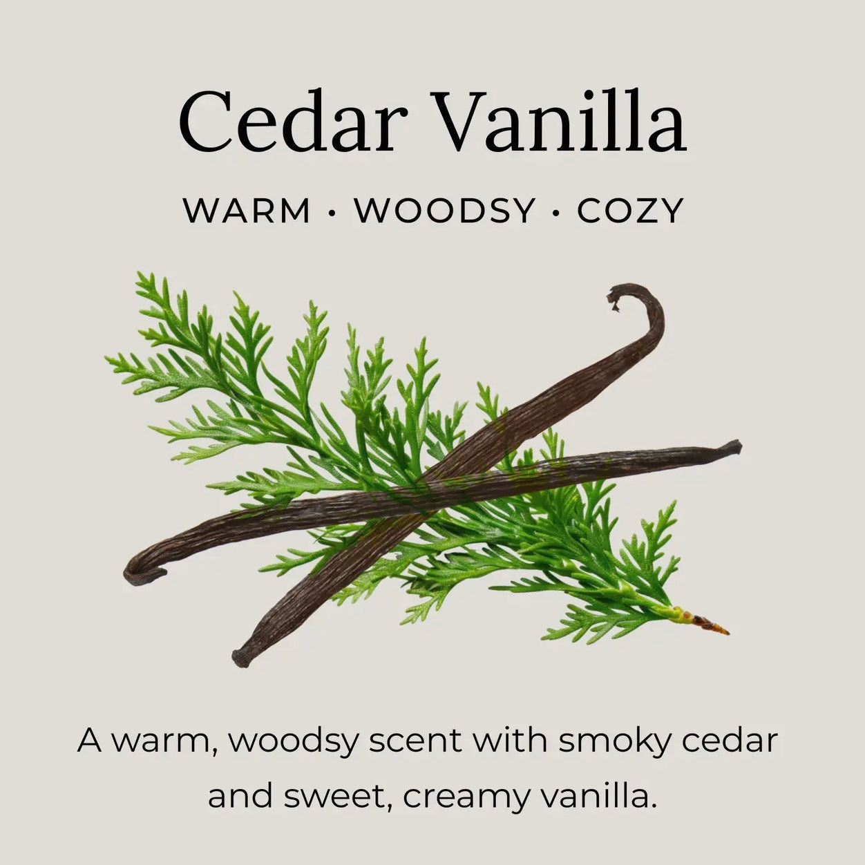 Little Seed Farm Natural Deodorant Cream | Cedar Vanilla