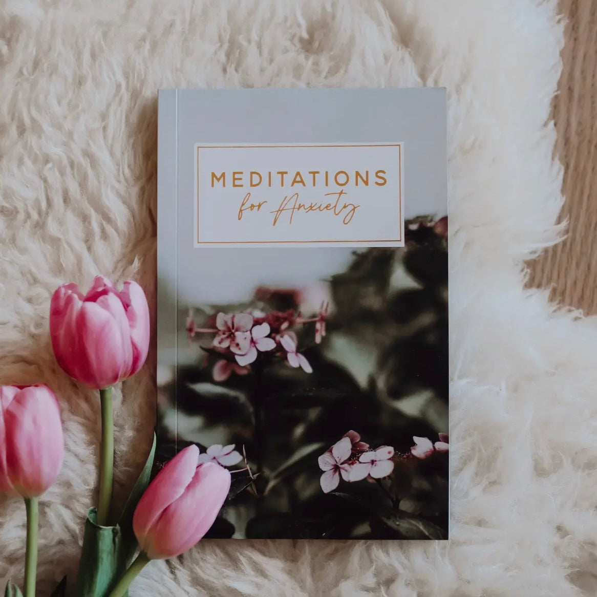Bible Study | Meditations For Anxiety Booklet
