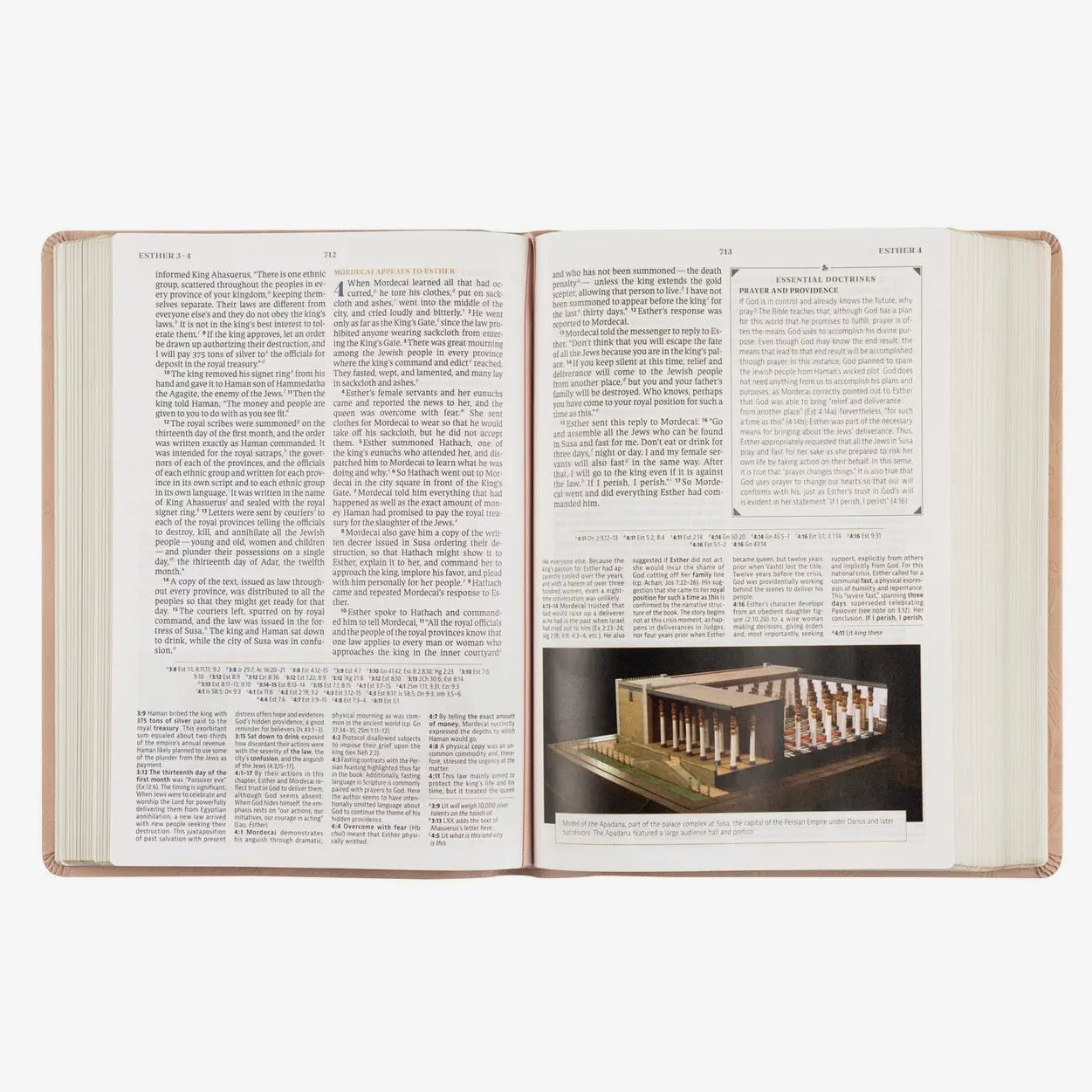 CSB Women's Study Bible | Sonora