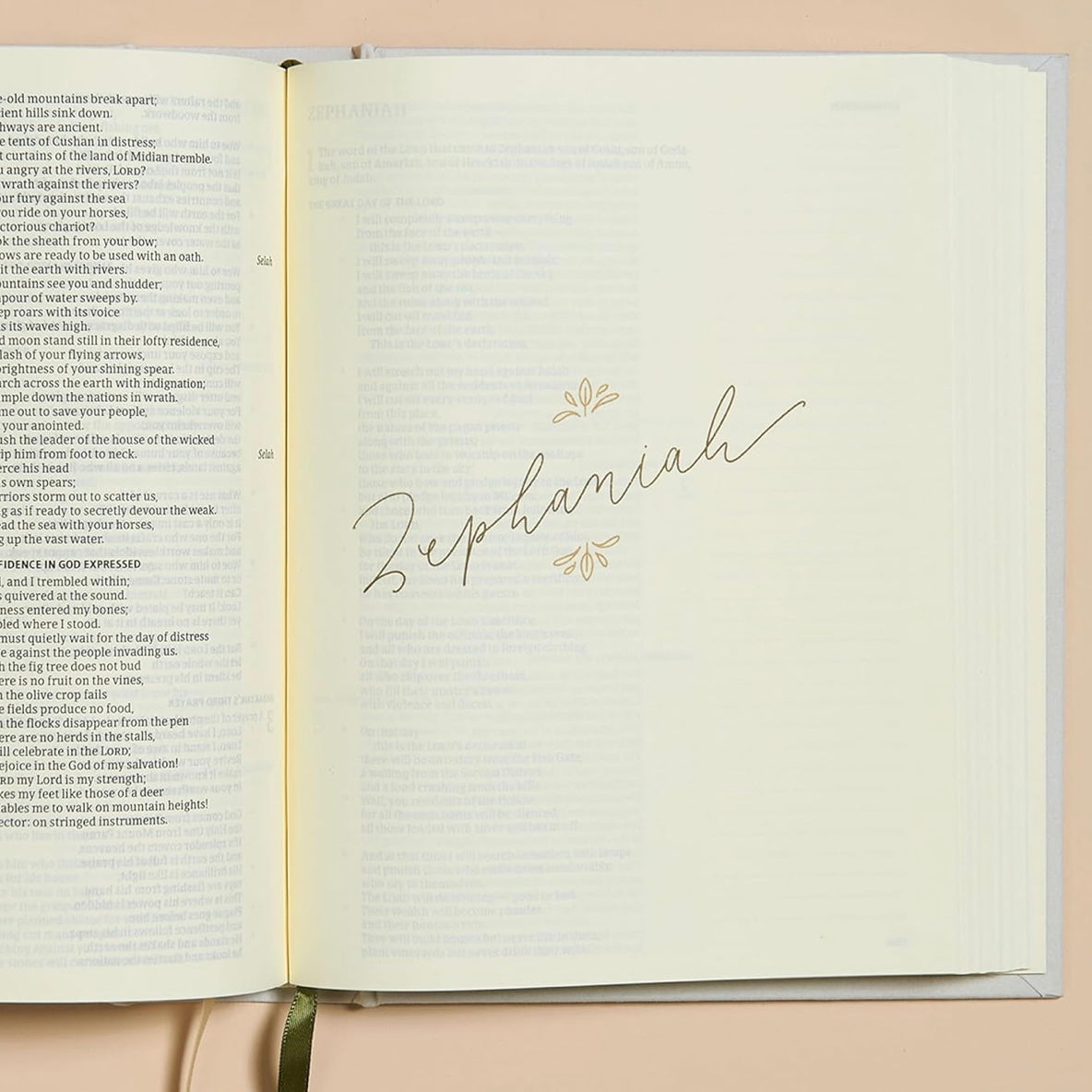 CSB Notetaking Bible | Lemons