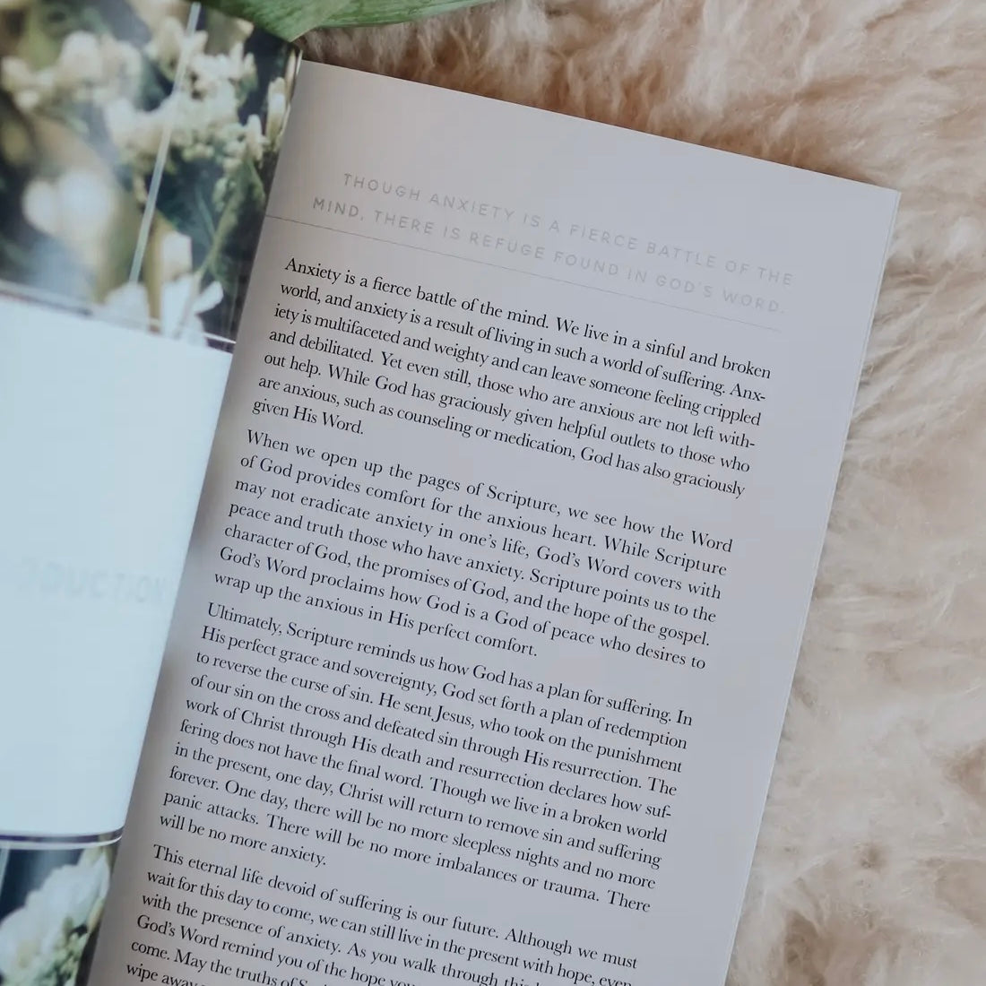 Bible Study | Meditations For Anxiety Booklet