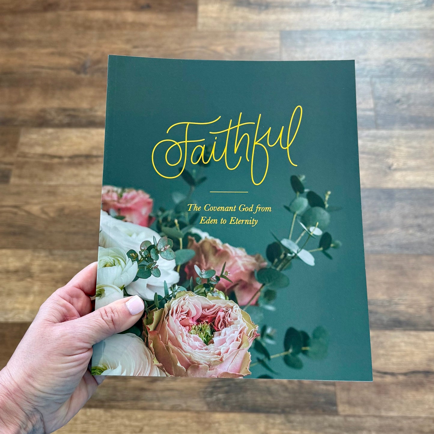 Bible Study - Faithful | Study On The Covenants