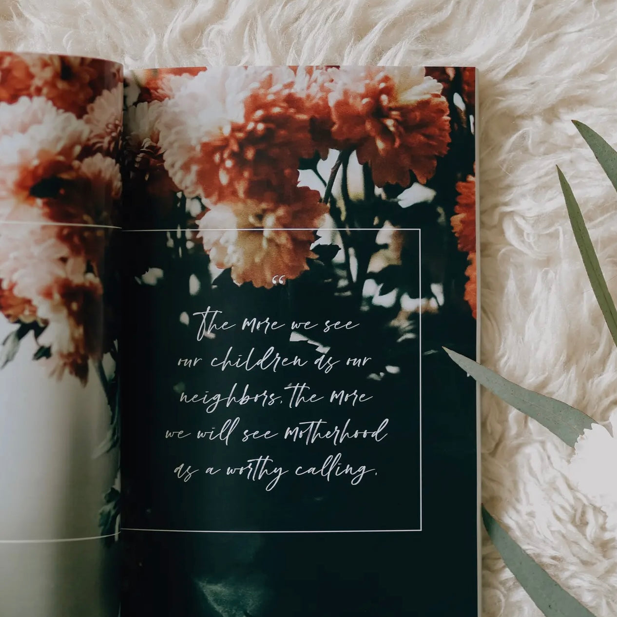 Bible Study | Gospel-Centered Motherhood