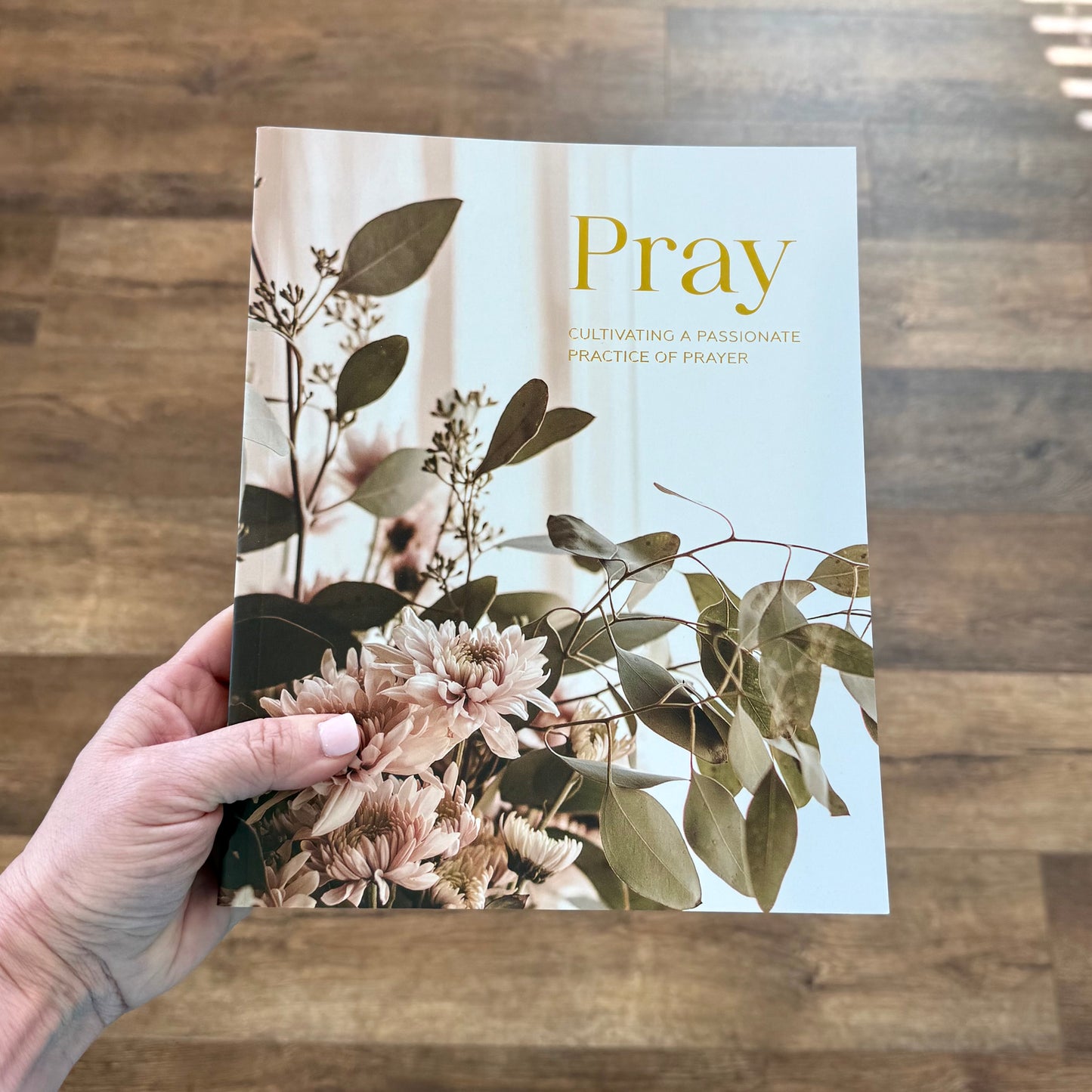 Bible Study - Pray | Cultivating A Passionate Practice of Prayer