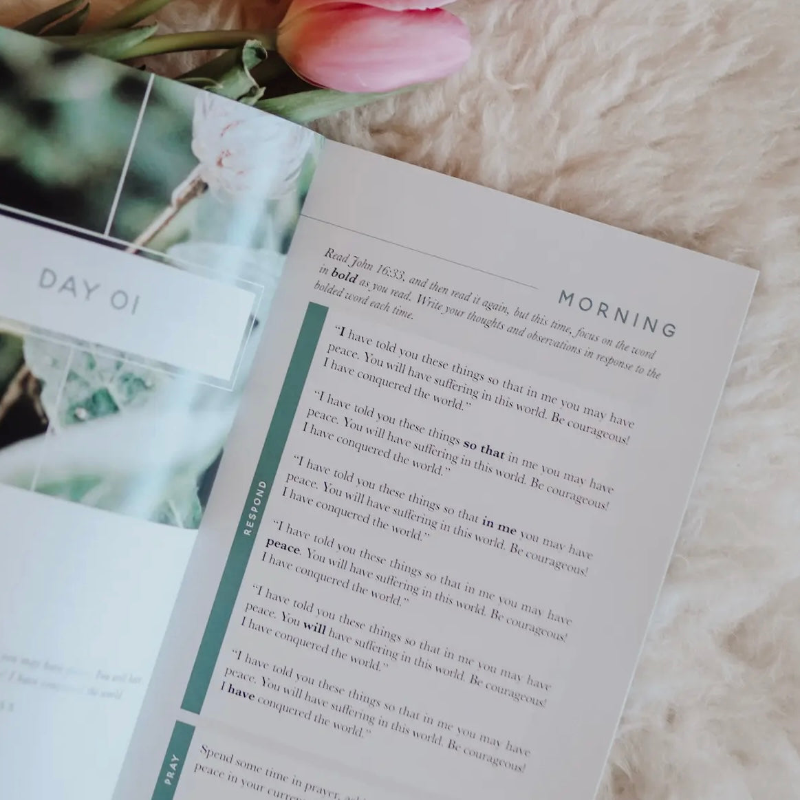Bible Study | Meditations For Anxiety Booklet