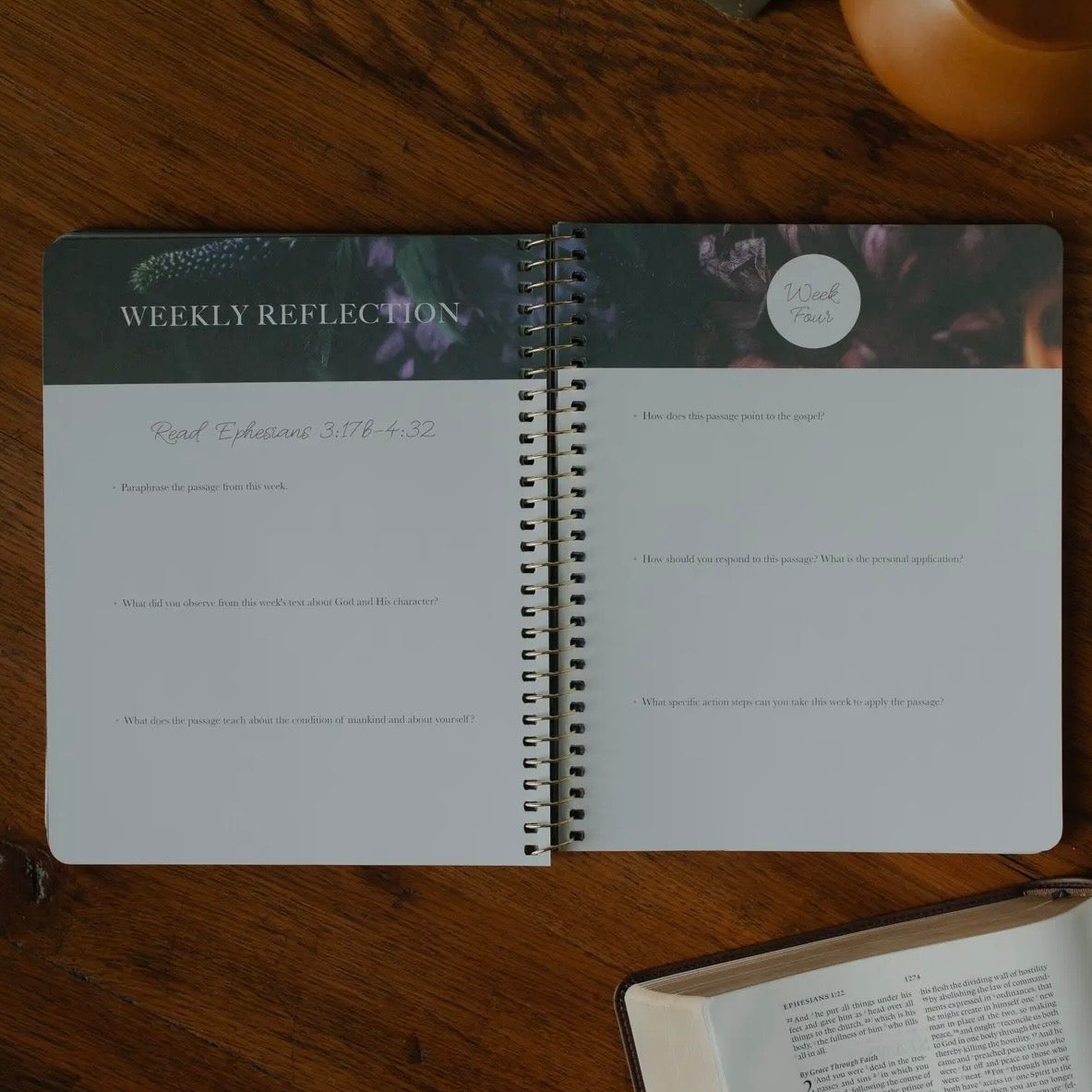 Chosen | Ephesians Study