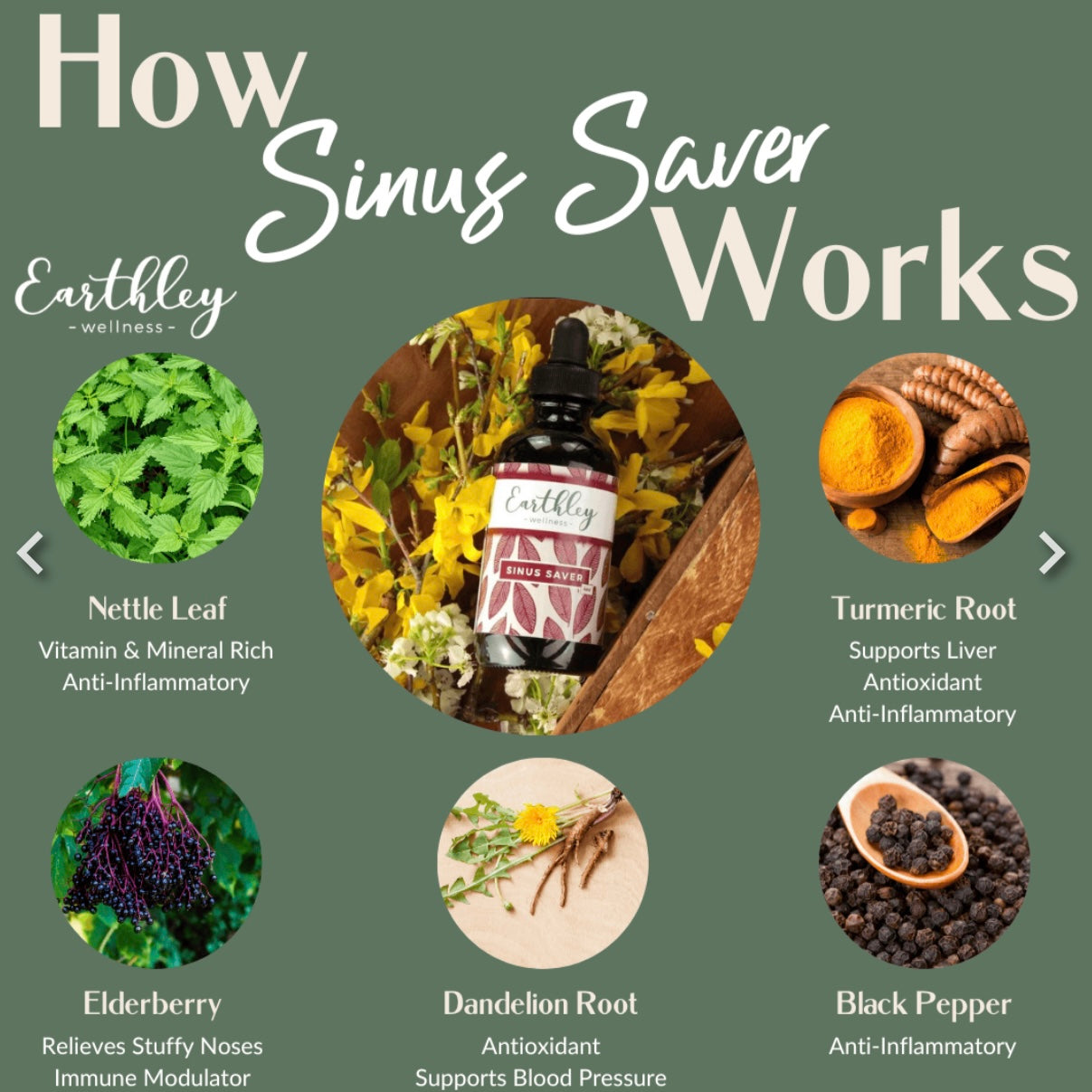 Earthley | Sinus Saver Alcohol-Free