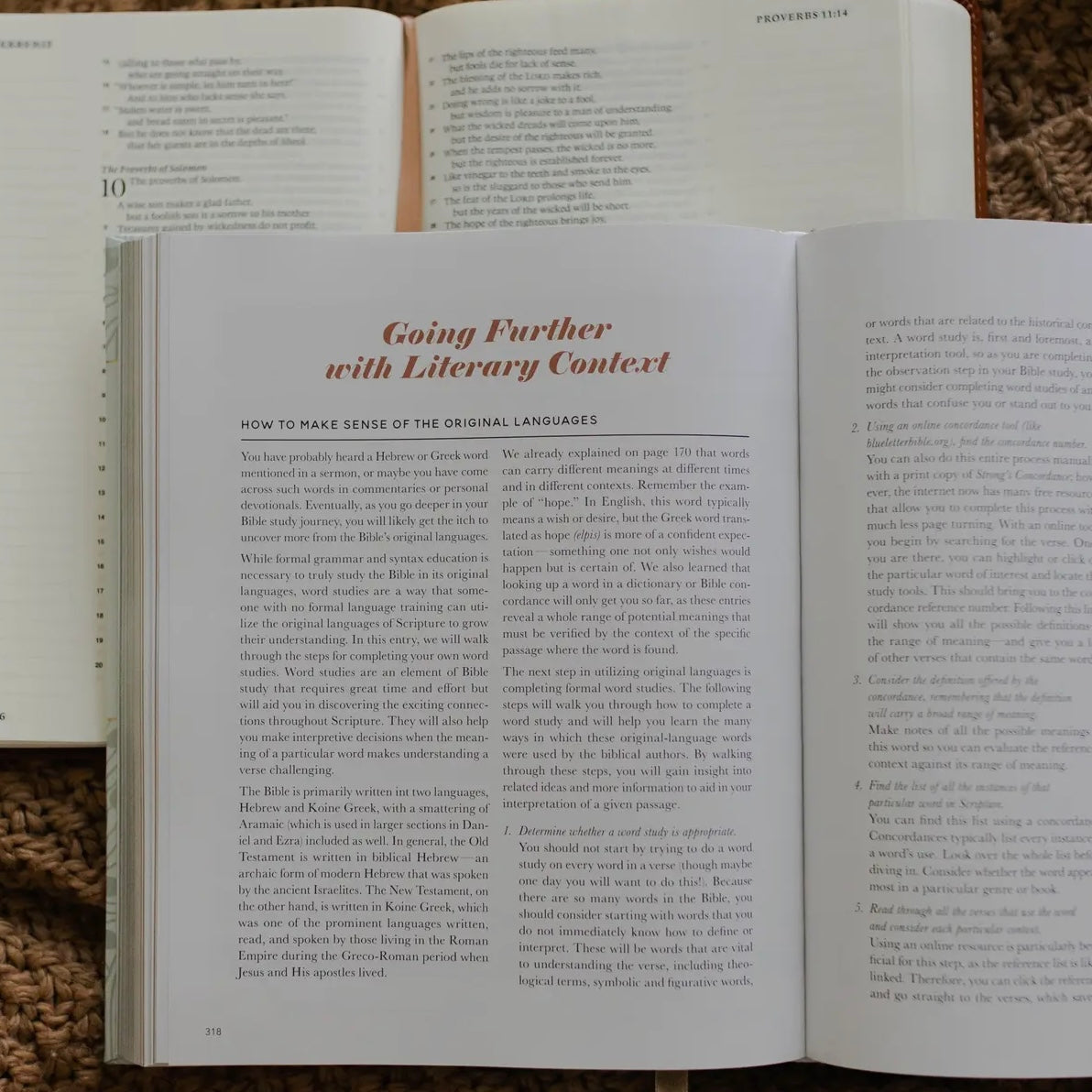 The Bible Study Handbook | A Comprehensive Guide To The Bible