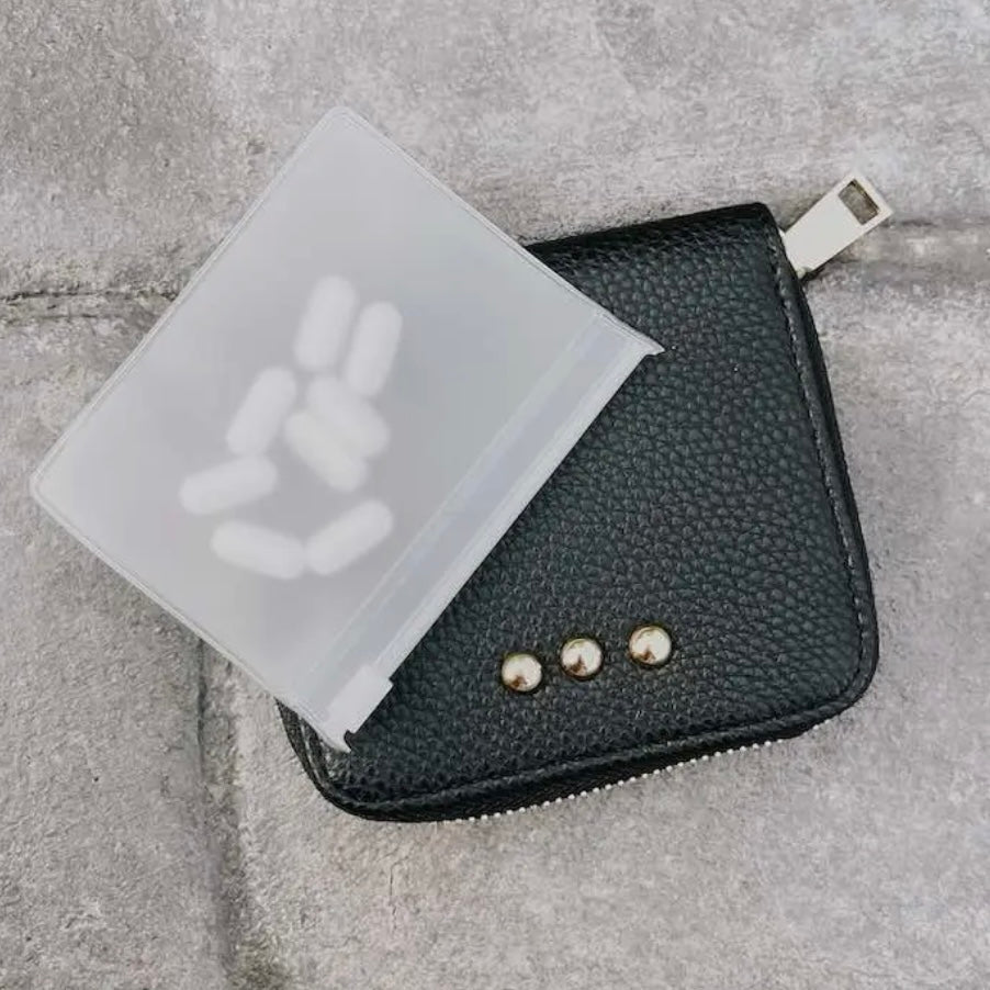 Wanderer Pouch Travel Organizer