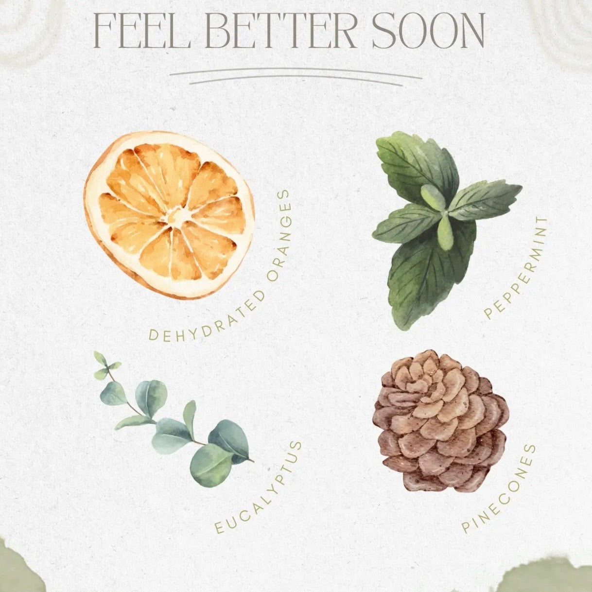 Simmer Pot | Feel Better Soon