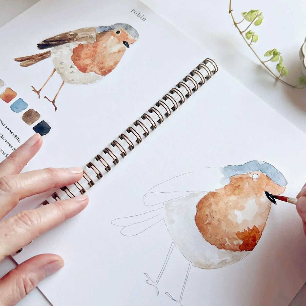 Watercolor Workbook | Birds