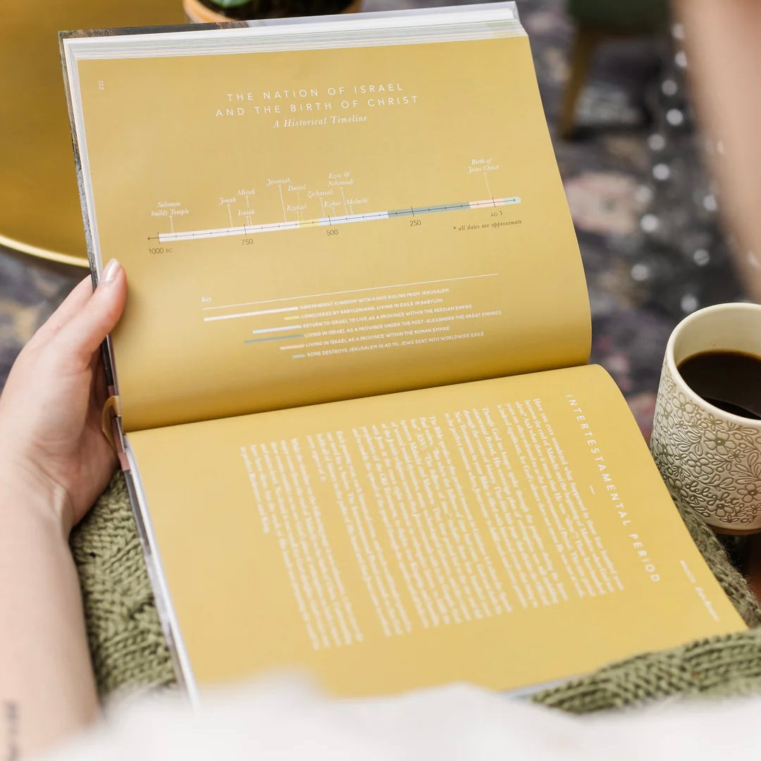 The Bible Handbook - A Book-By-Book Guide To The Entire Bible