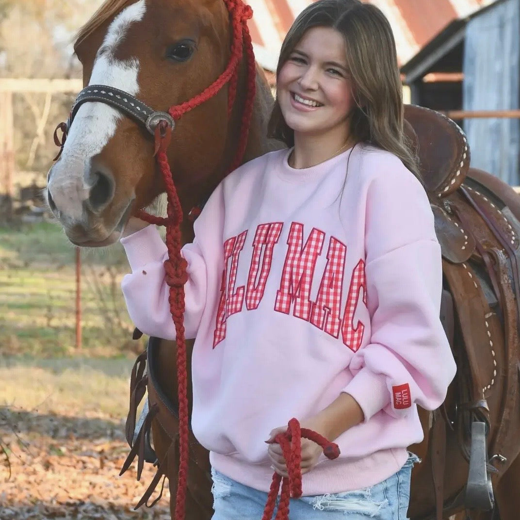 Lulu Mac Sweatshirt | Pink & Red Gingham