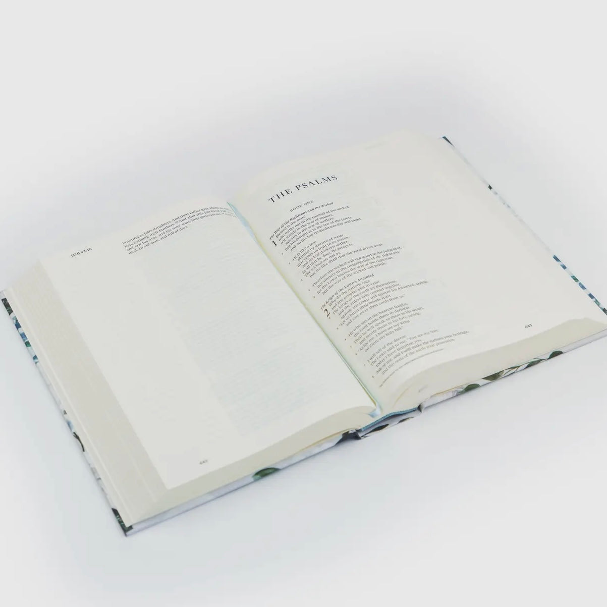 ESV Large Print Journaling Bible | Victoria
