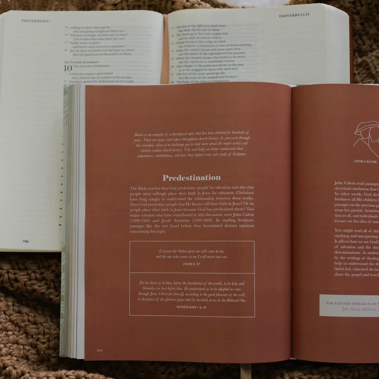 The Bible Study Handbook | A Comprehensive Guide To The Bible