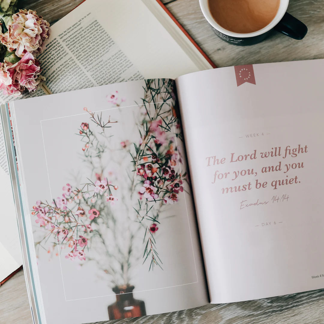 Bible Study - Faithful | Study On The Covenants