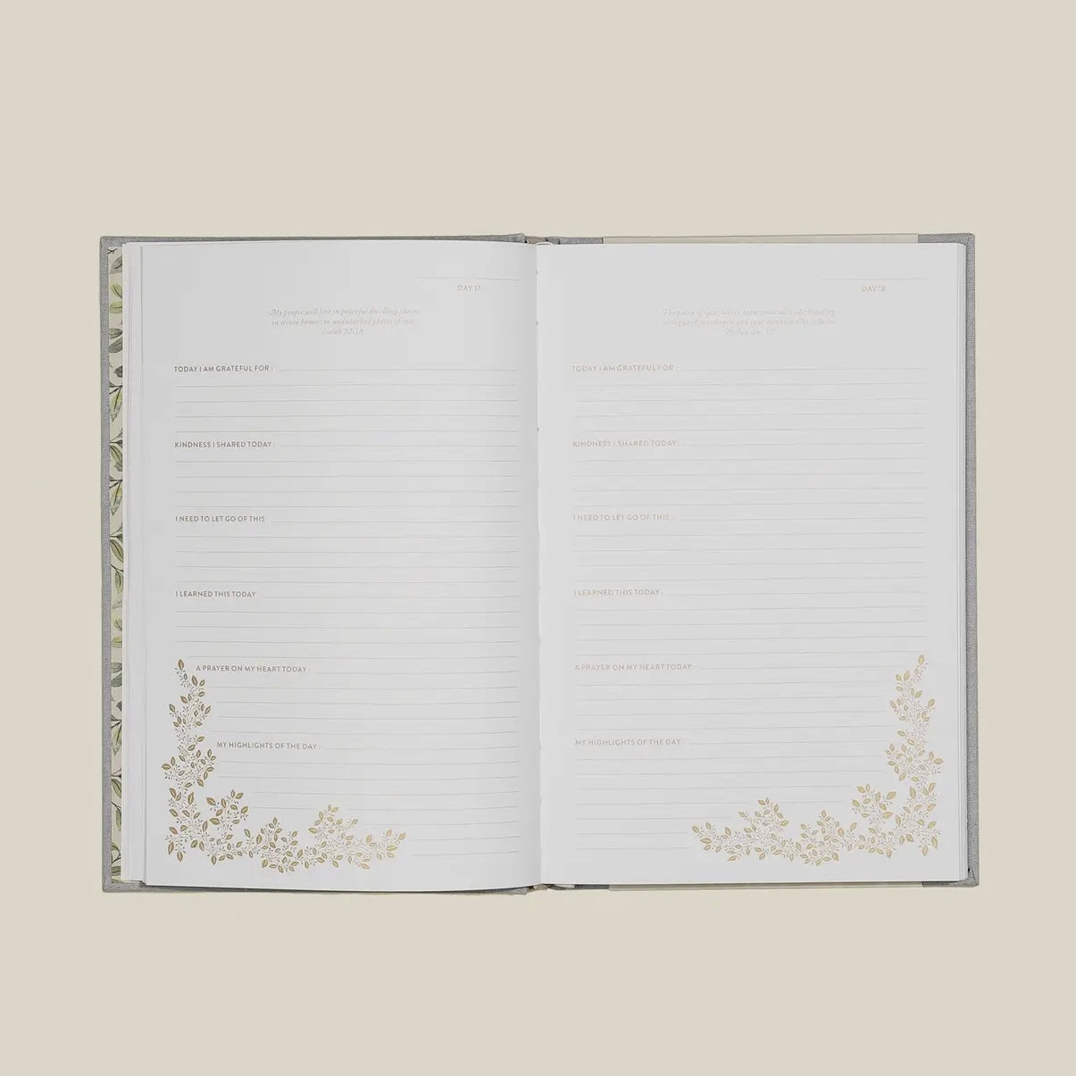 More Than Gratitude: A Christian Guided Journal