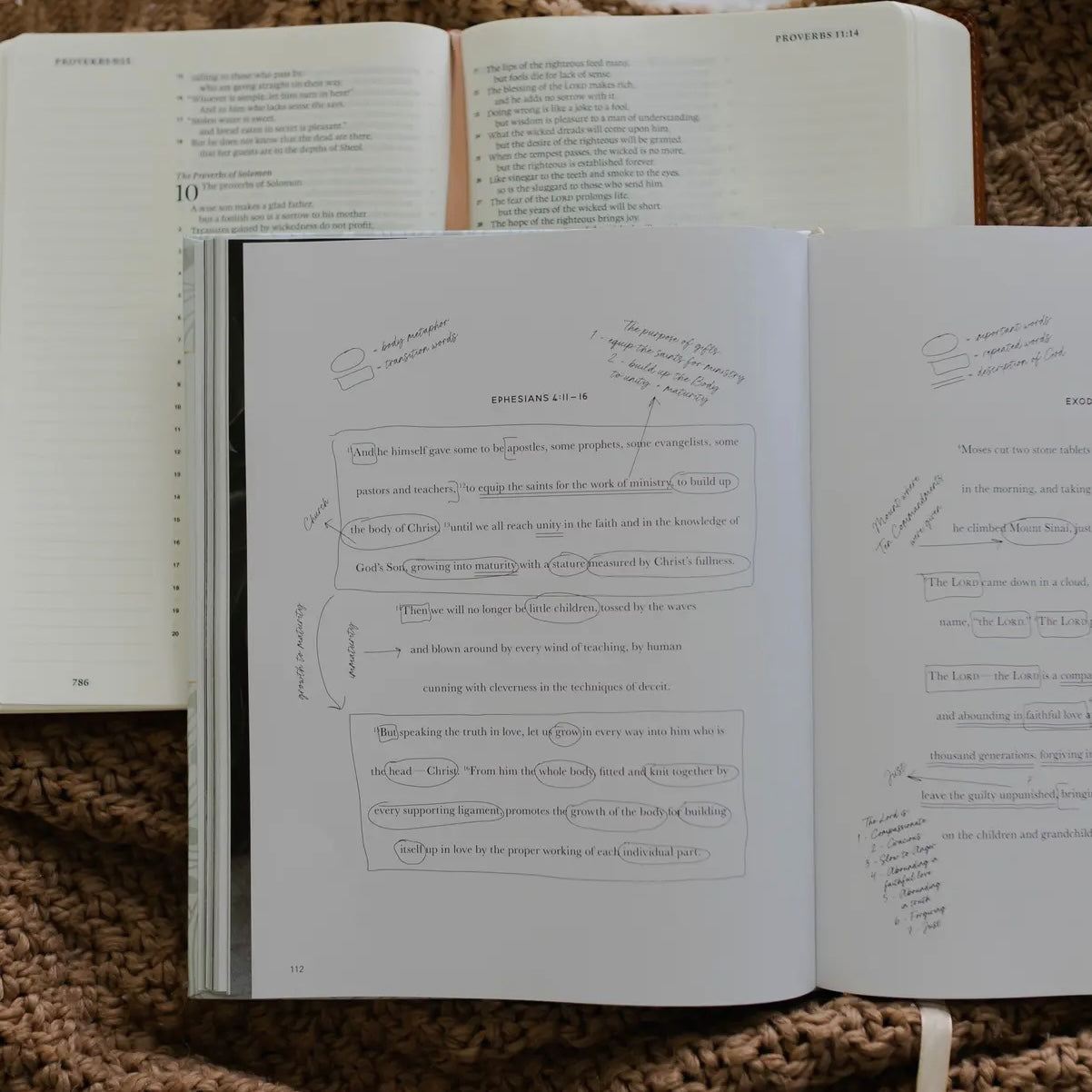 The Bible Study Handbook | A Comprehensive Guide To The Bible
