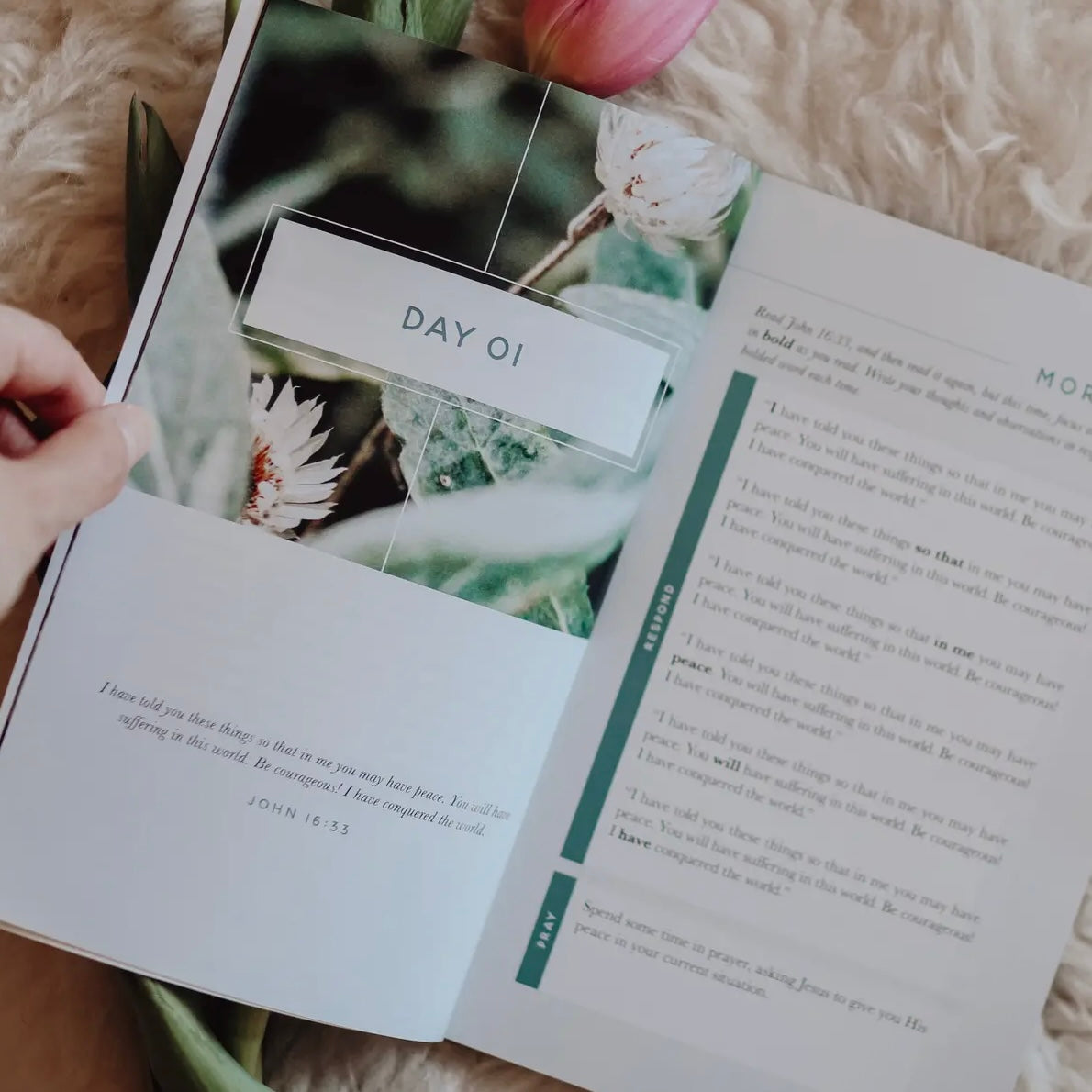 Bible Study | Meditations For Anxiety Booklet