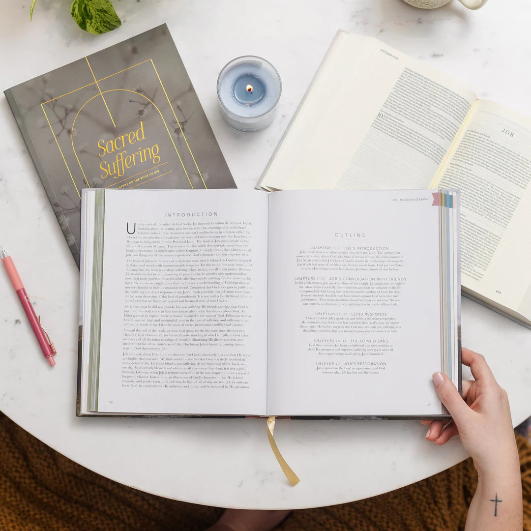 The Bible Handbook - A Book-By-Book Guide To The Entire Bible