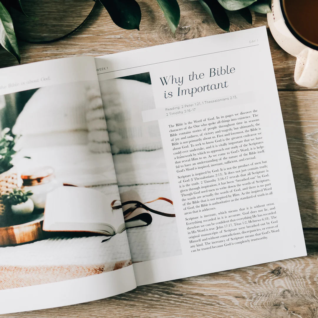 Bible Study - Search The Word
