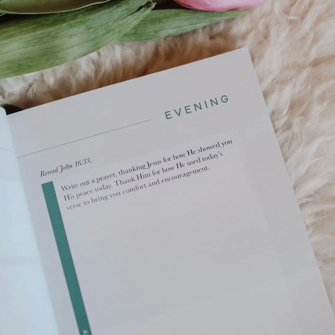 Bible Study | Meditations For Anxiety Booklet