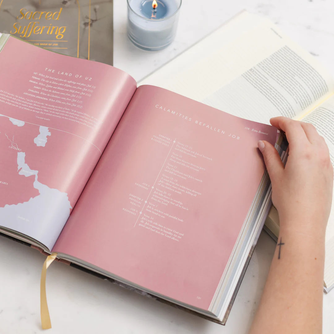 The Bible Handbook - A Book-By-Book Guide To The Entire Bible