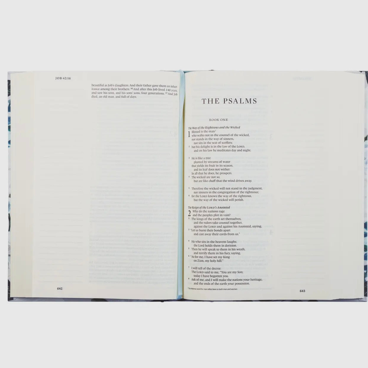 ESV Large Print Journaling Bible | Victoria