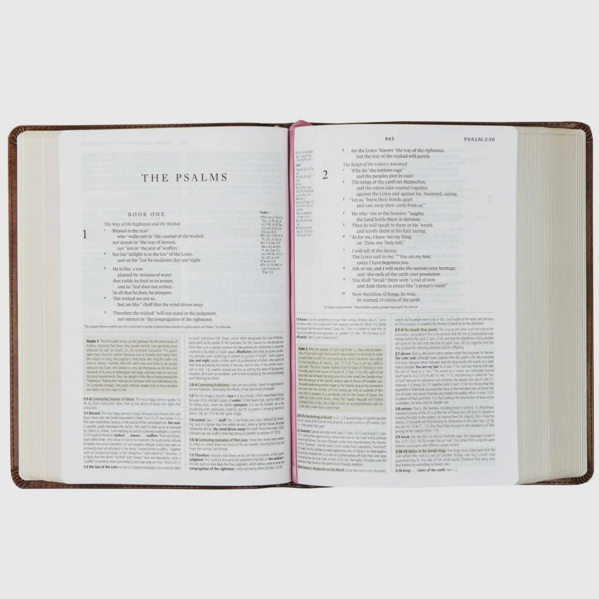 ESV Study Bible | Aurora Theme
