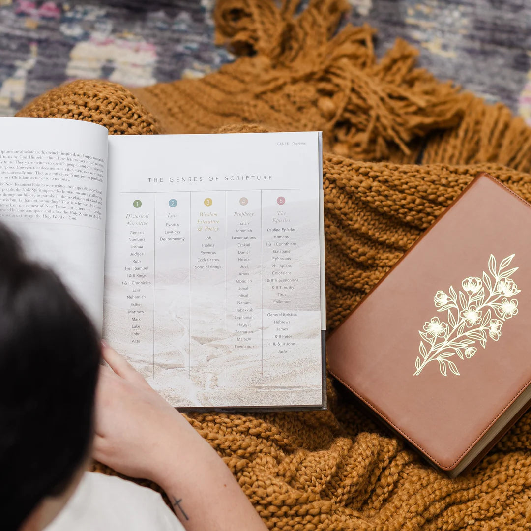 The Bible Handbook - A Book-By-Book Guide To The Entire Bible