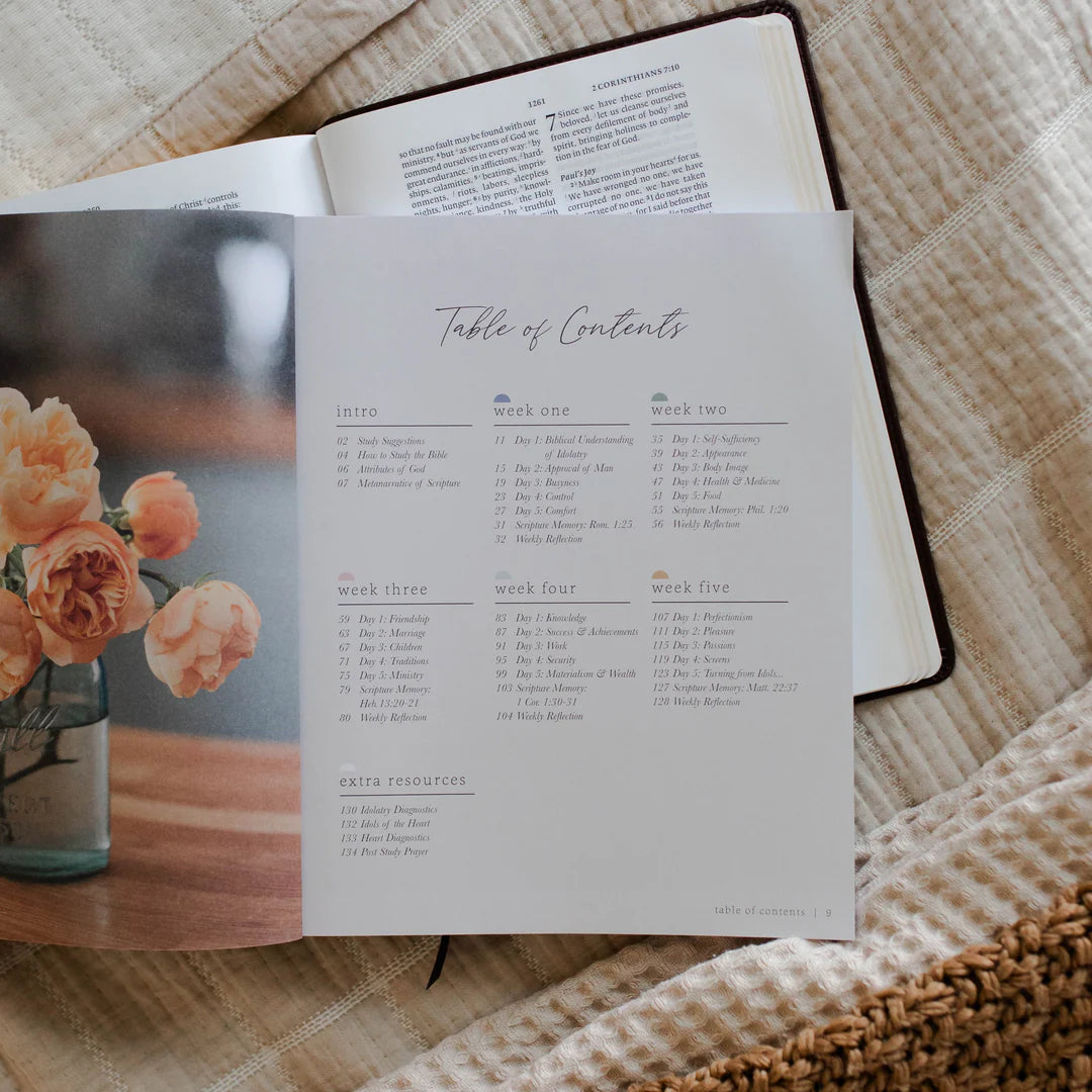 Bible Study - More Than Anything