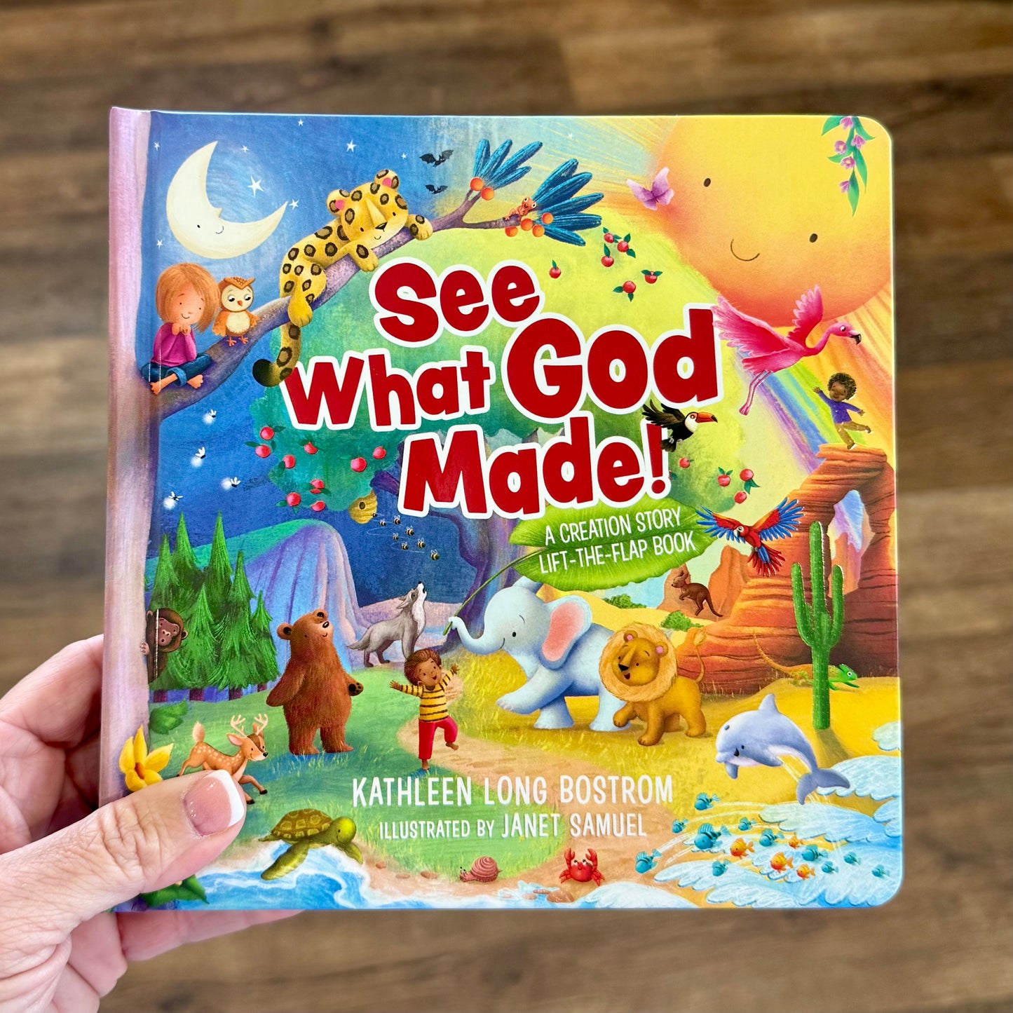 See What God Made! Creation Story Lift-the-Flap Board Book