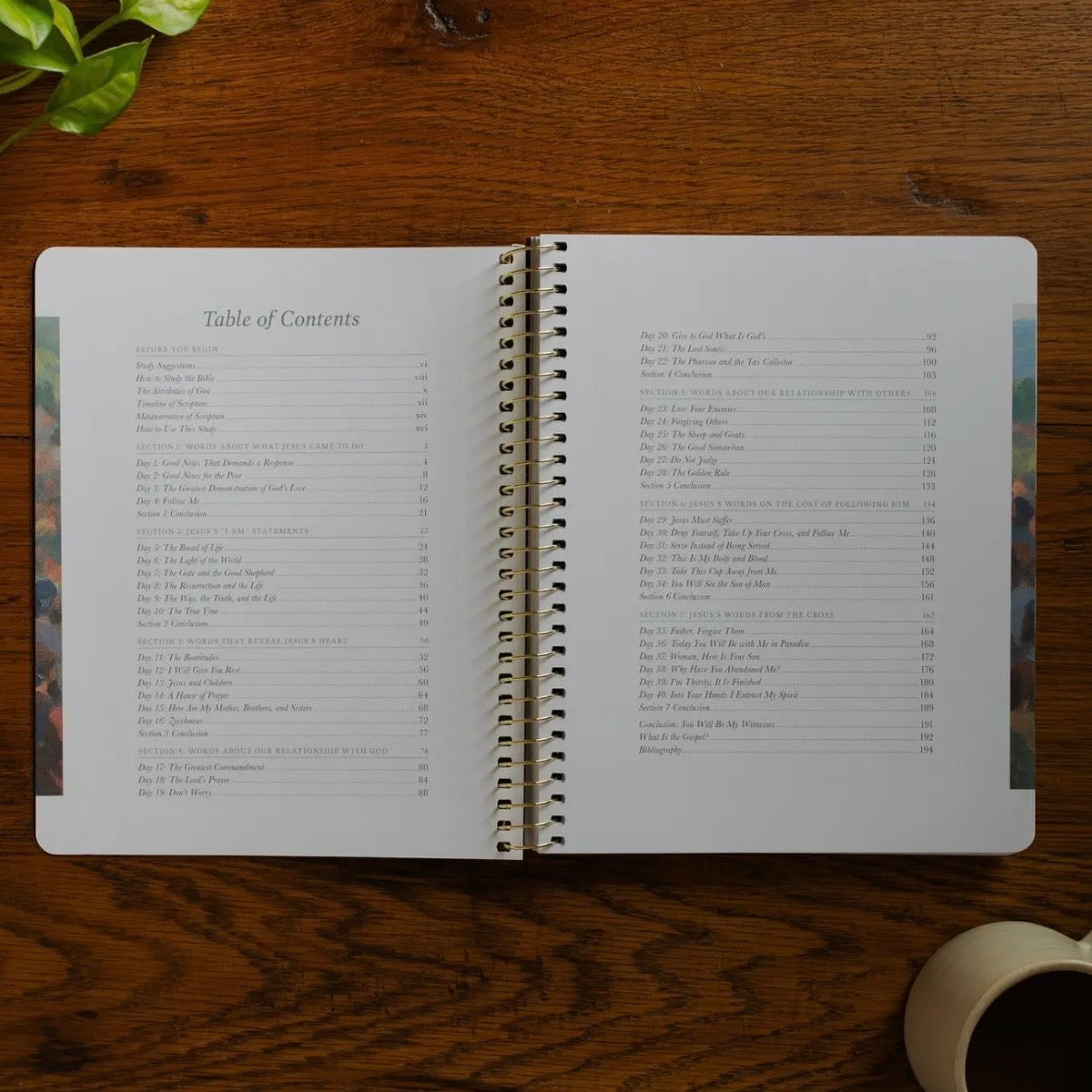 Bible Study | Flourishing In Motherhood