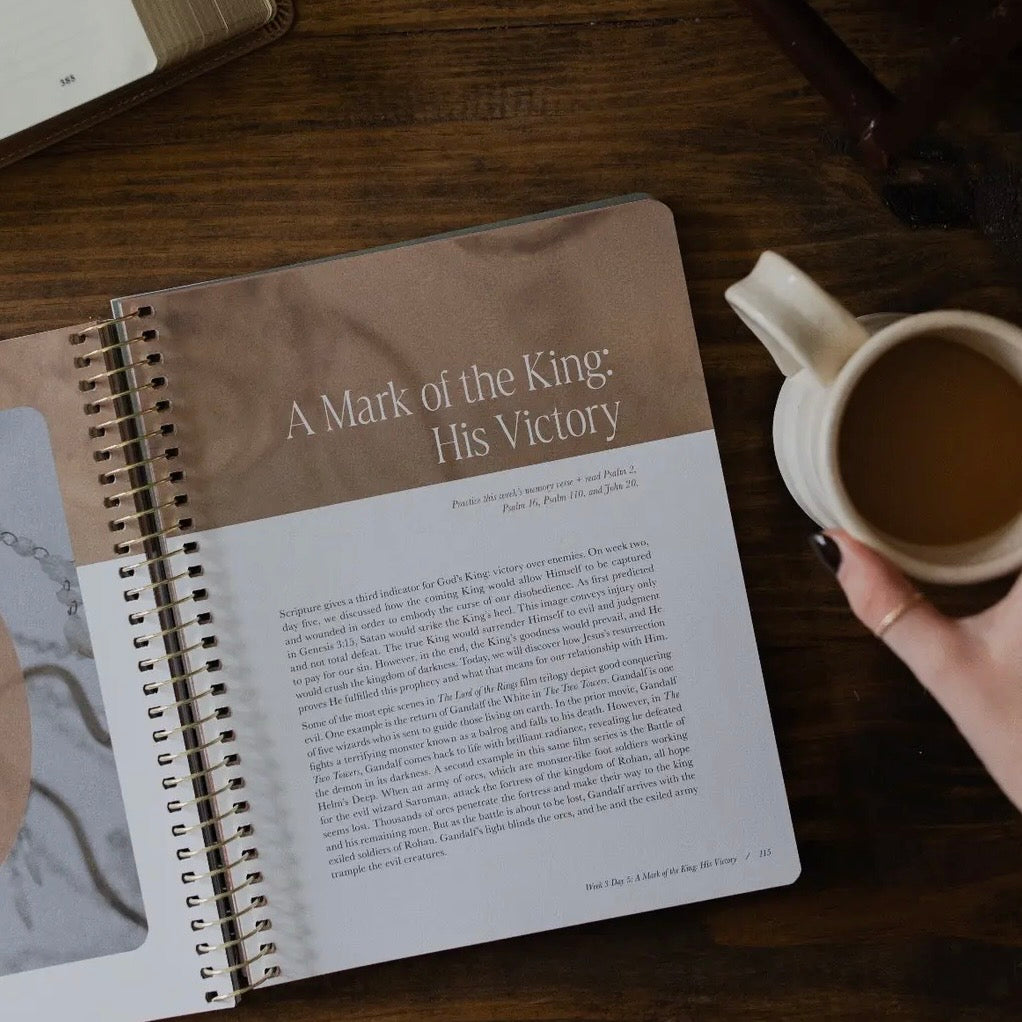 Peaks and Valleys: Learning To Look To Christ in Life's Highs and Lows | A Study On the Life of David
