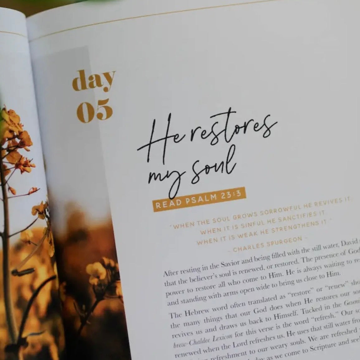 Bible Study | He Leads Me - Psalm 23