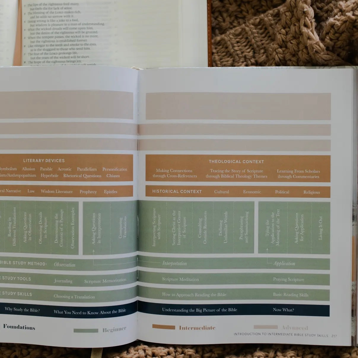 The Bible Study Handbook | A Comprehensive Guide To The Bible