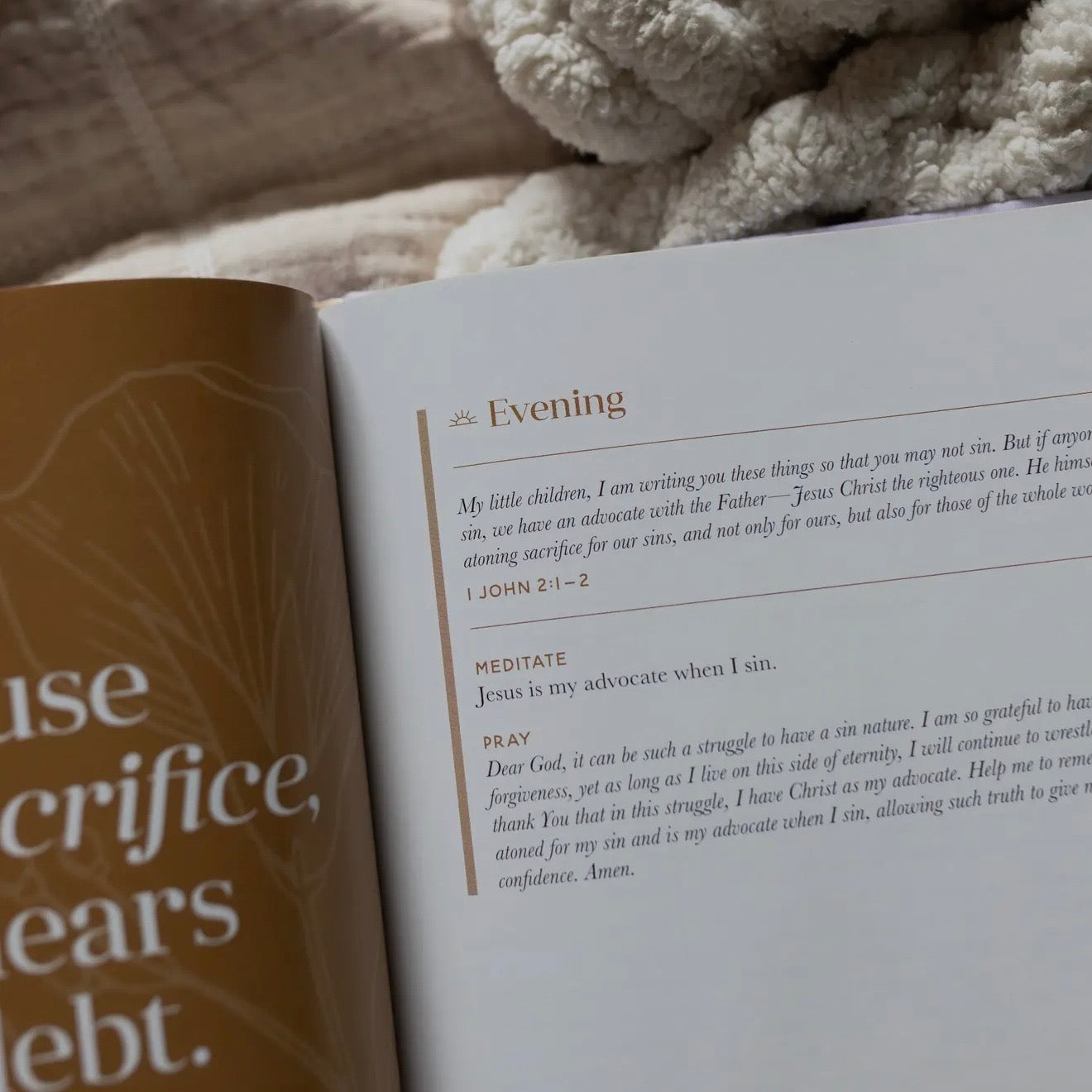 Grace from Day To Night | A 40-day Morning and Evening Devotional