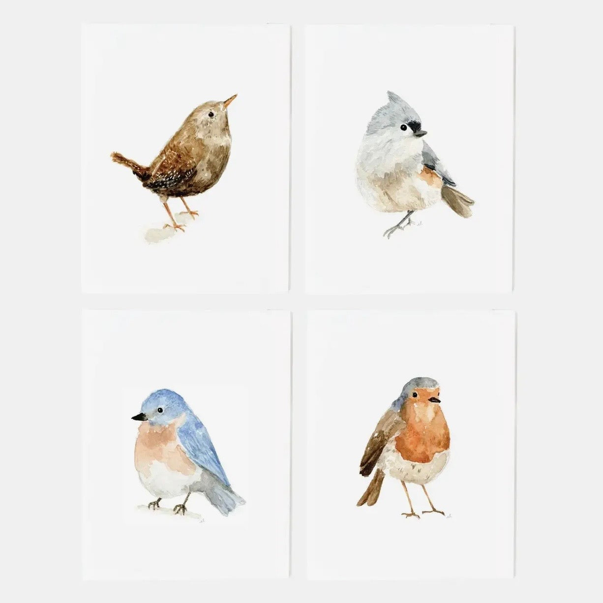 Bird Notecard | Assorted