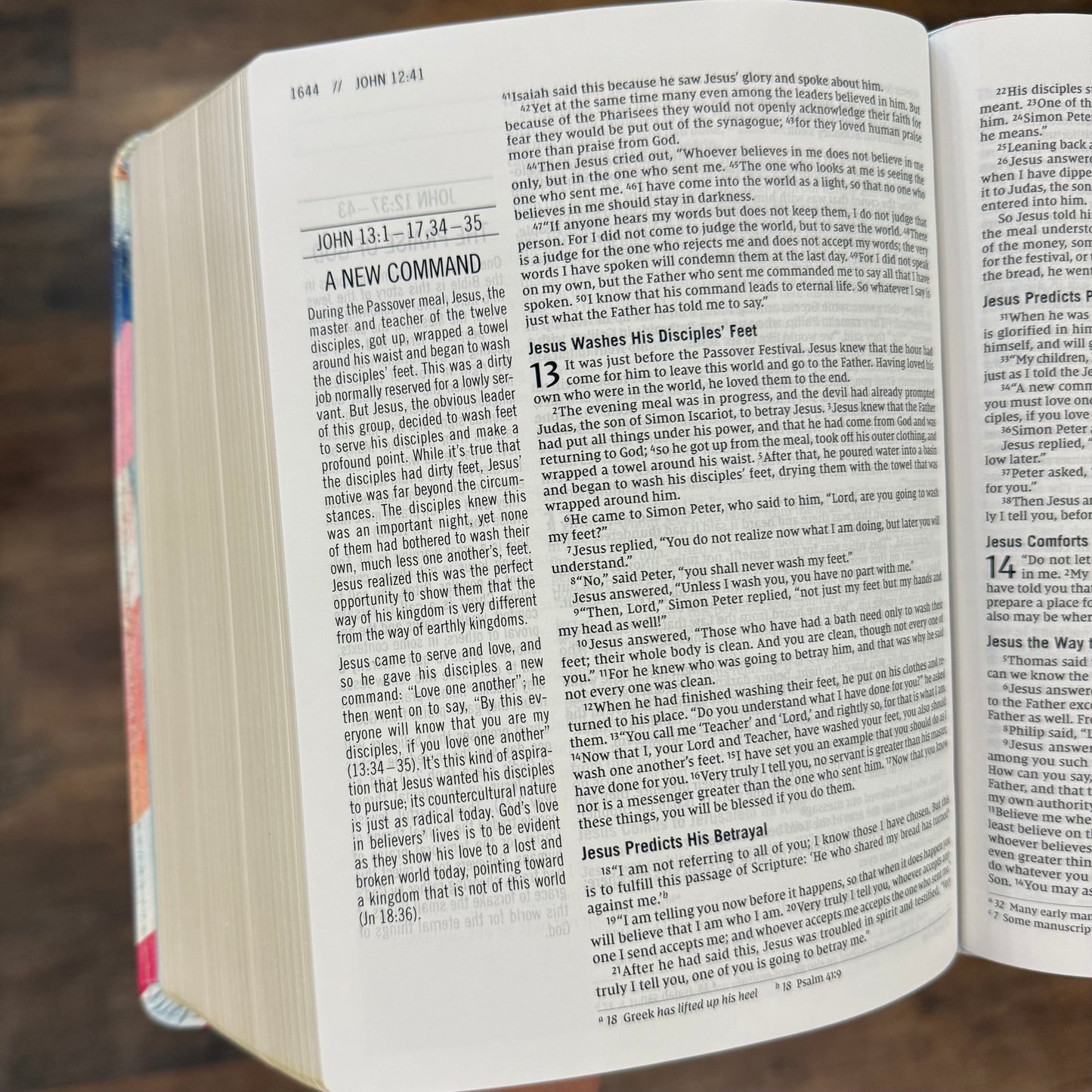 The Jesus Bible | ESV Peach Floral