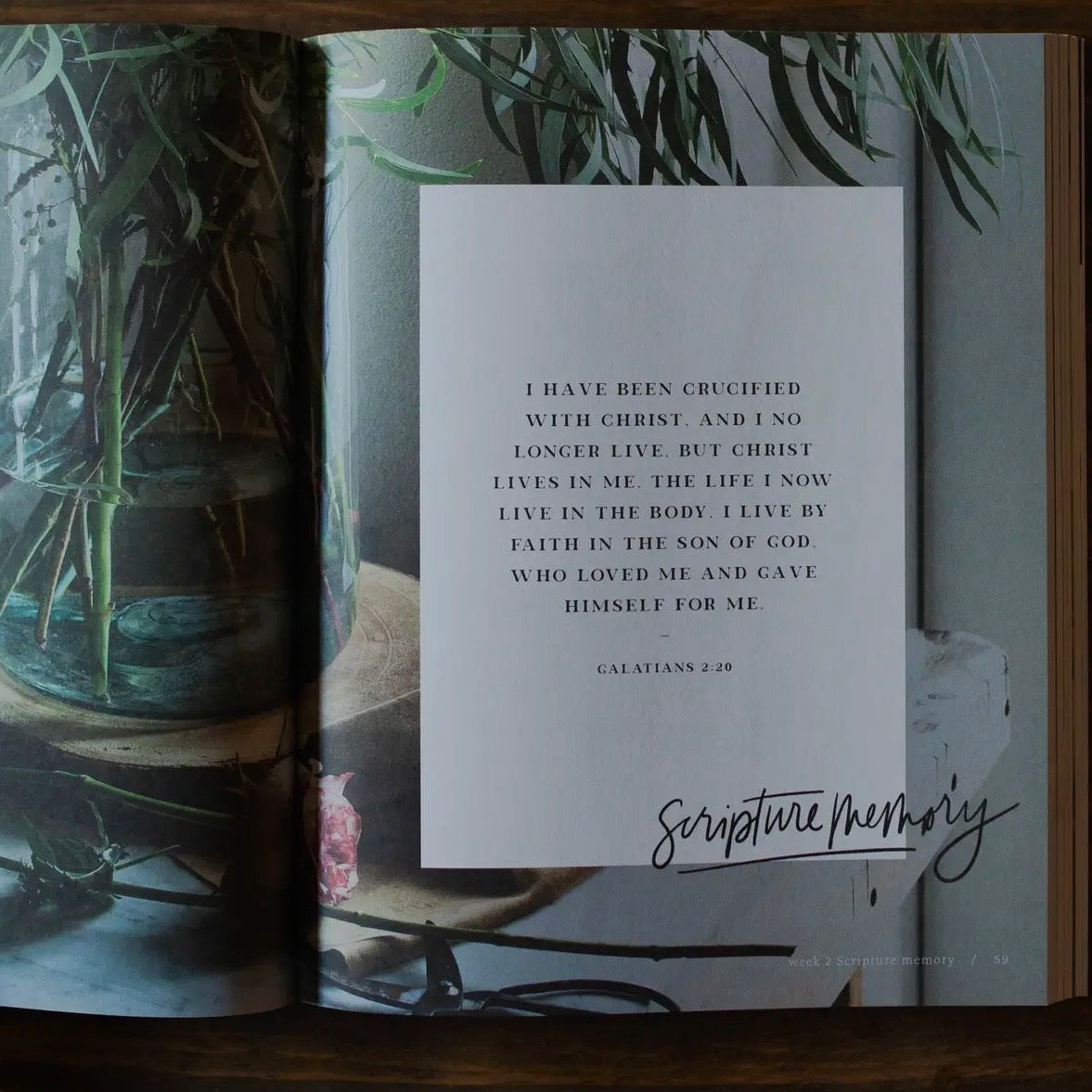 Bible Study | By Faith | A Study on Galatians