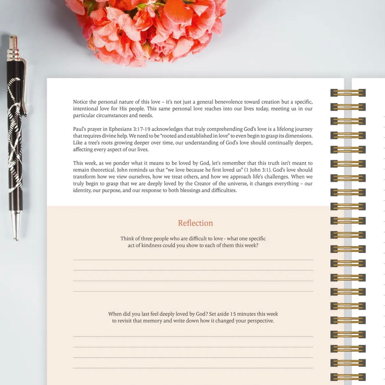 The Bible in A Year: A 52-Week Study