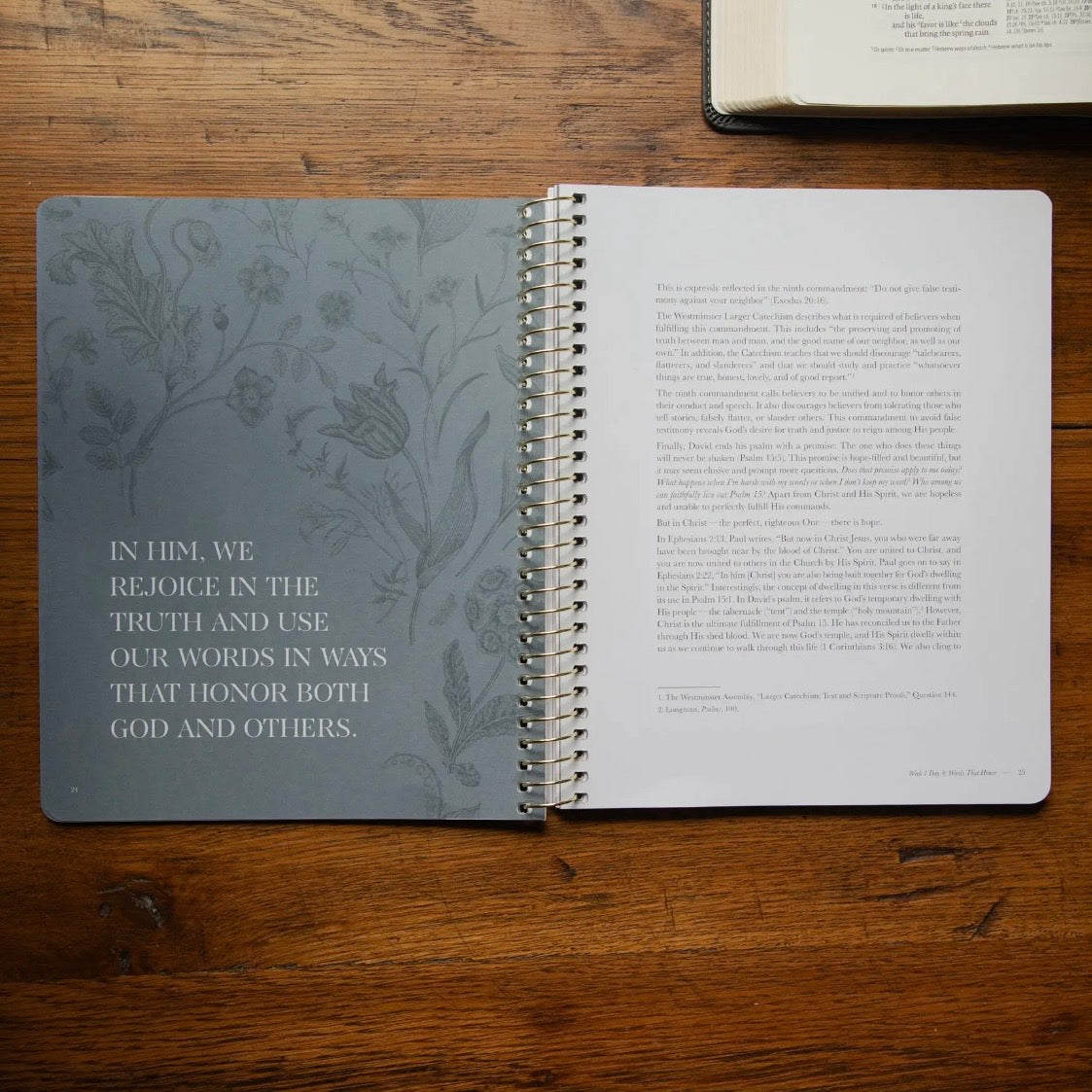 Bible Study | Sticks and Stones