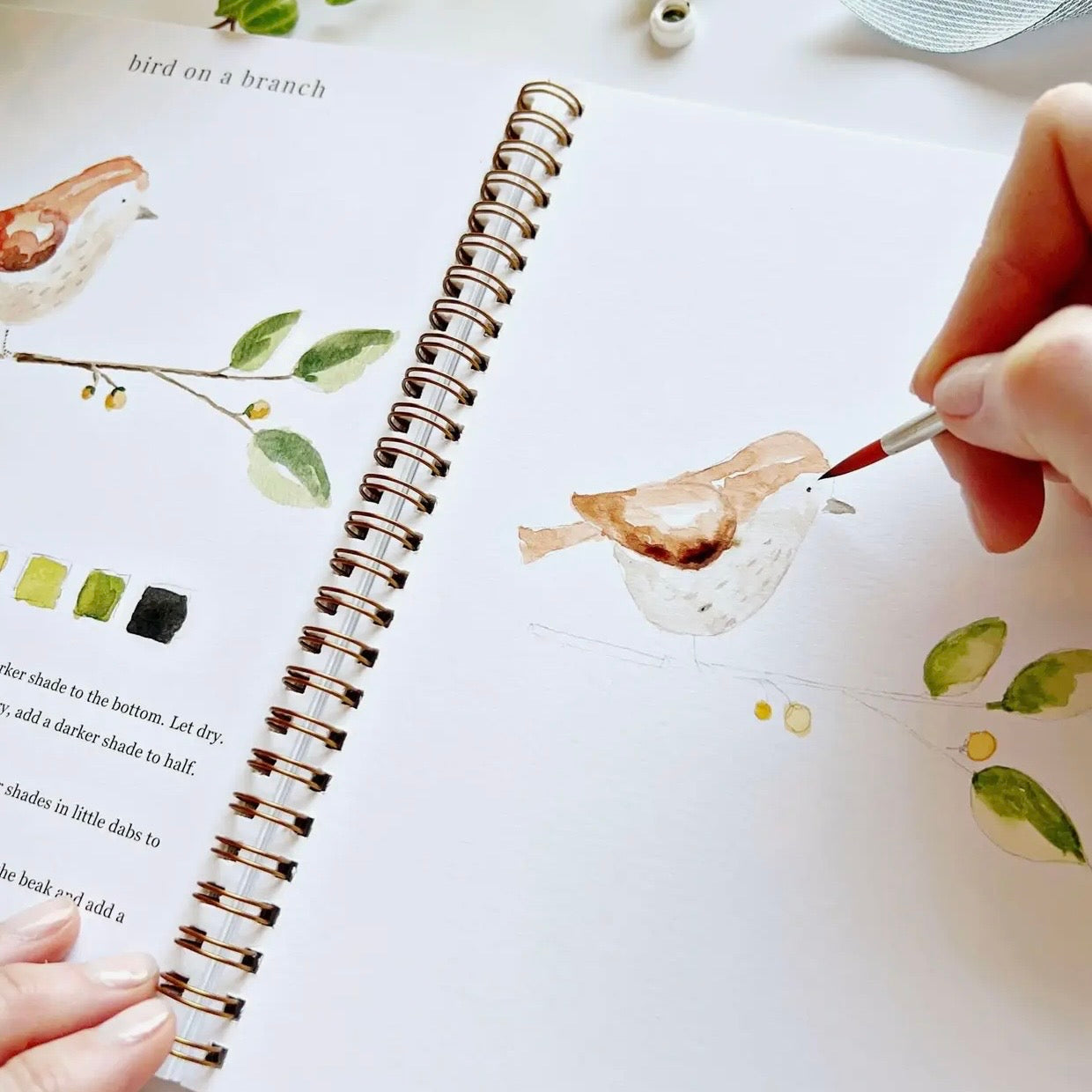 Watercolor Workbook | Animals