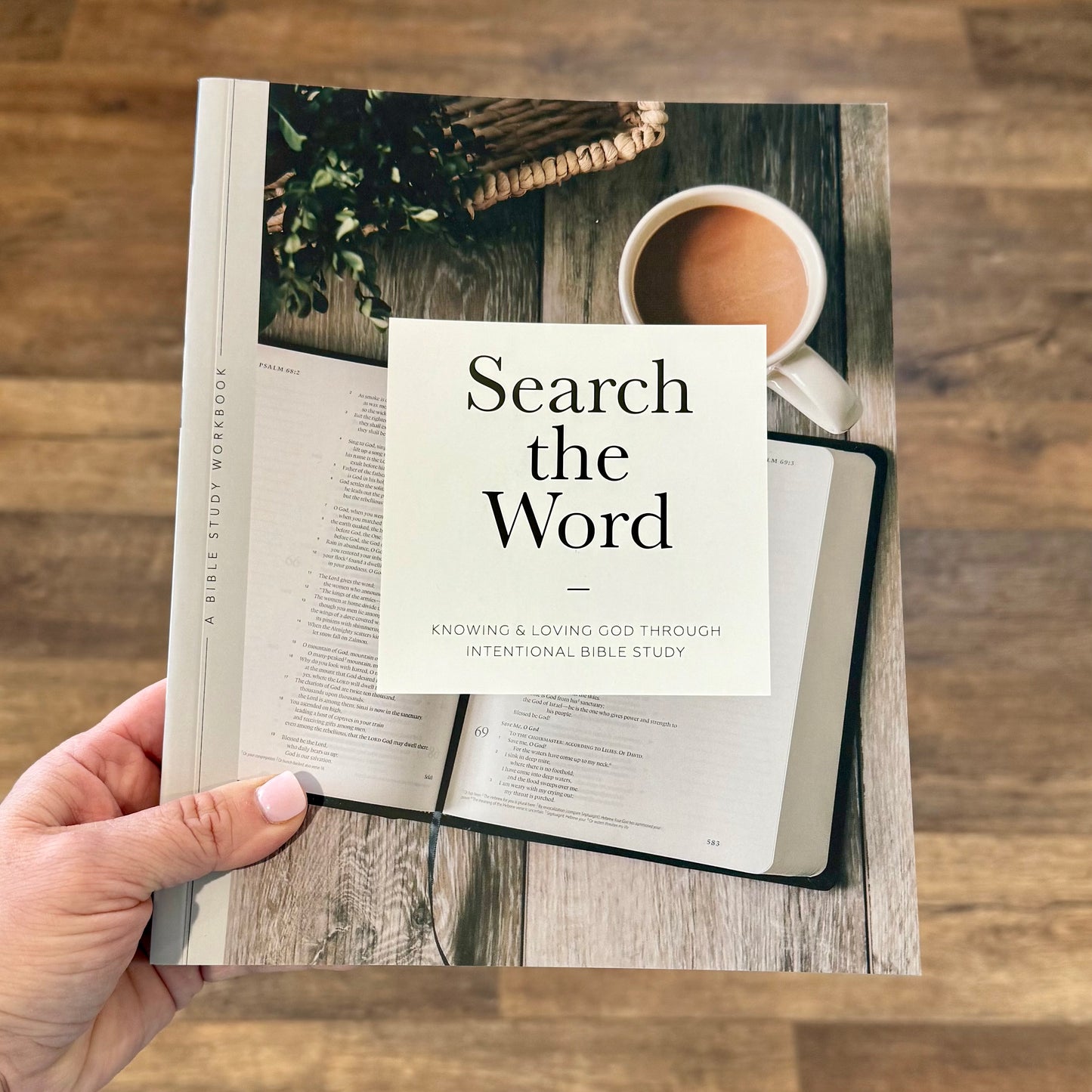 Bible Study - Search The Word | Men’s Study