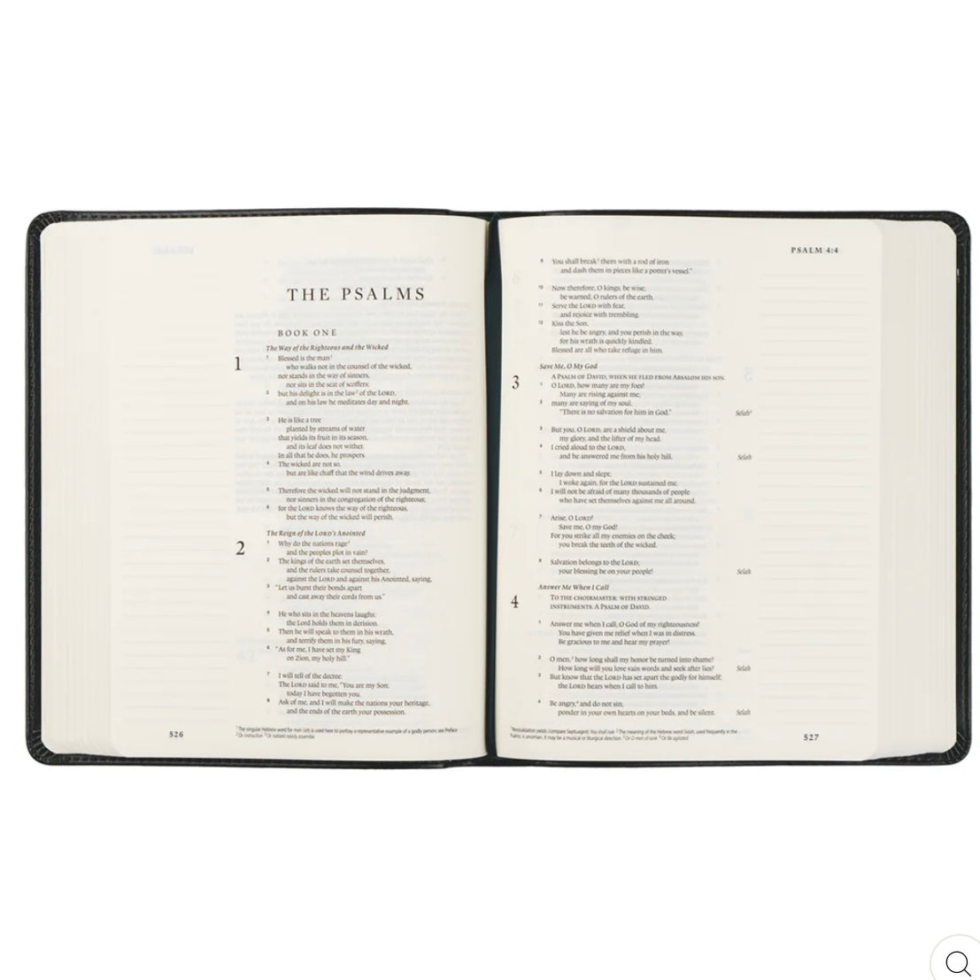 Hyde Park ESV Journaling Bible